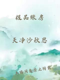 极品账房