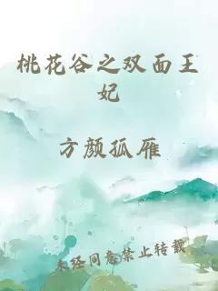 桃花谷之双面王妃