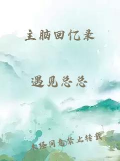 主脑回忆录