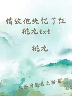 情敌他失忆了红桃九txt