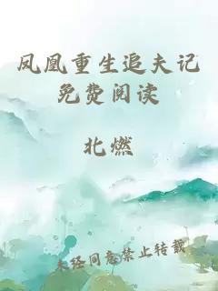 凤凰重生追夫记免费阅读