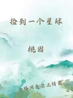 捡到一个星球