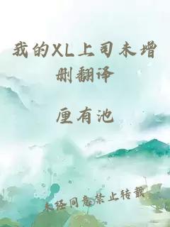 我的XL上司未增删翻译