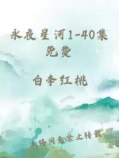 永夜星河1-40集免费