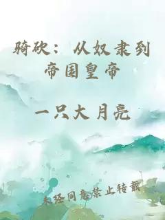 骑砍：从奴隶到帝国皇帝