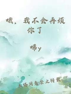 哦，我不会再烦你了