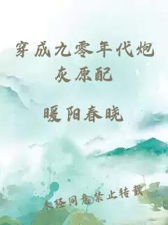 穿成九零年代炮灰原配