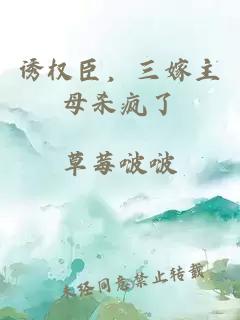 诱权臣，三嫁主母杀疯了