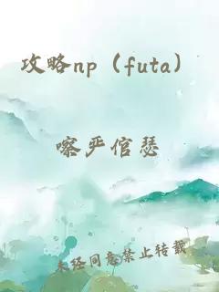 攻略np（futa）