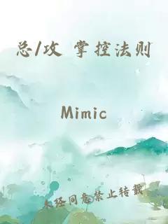 总/攻 掌控法则
