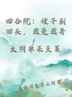 四合院：嫂子别回头，我是我哥！