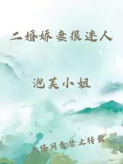 二婚娇妻很迷人