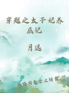 穿越之太子妃养成记