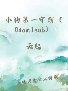 小狗第一守则（0dom1sub）