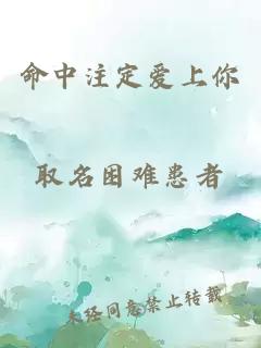 命中注定爱上你
