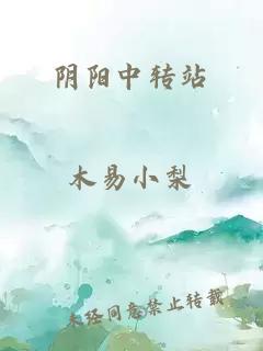 阴阳中转站