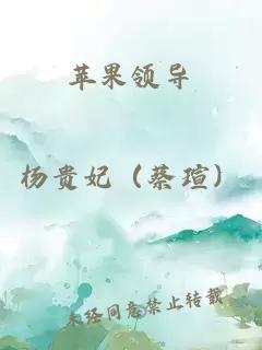 苹果领导