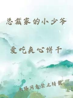 总裁家的小少爷
