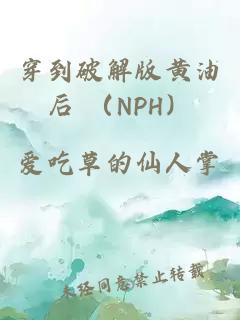 穿到破解版黄油后 （NPH）