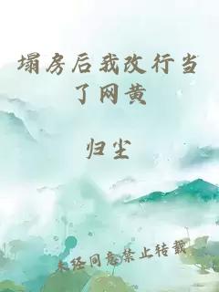 塌房后我改行当了网黄