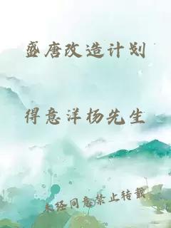 盛唐改造计划