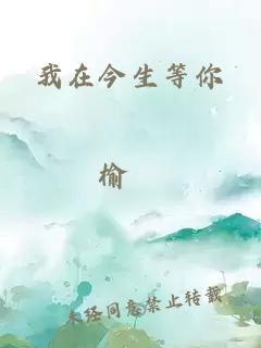 我在今生等你