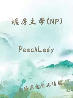 填房主母(NP)