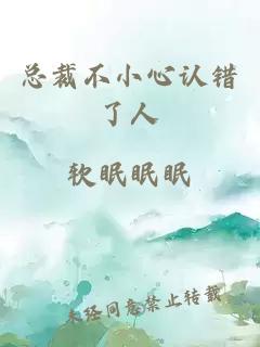 总裁不小心认错了人