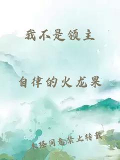 我不是领主