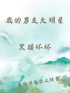 我的男友大明星