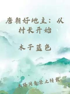 唐朝好地主：从村长开始