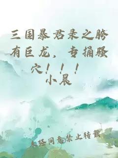 三国暴君录之胯有巨龙，专捅骚穴！！！