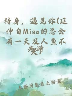 转身，遇见你(延伸自Misa的总会有一天及人鱼不哭)