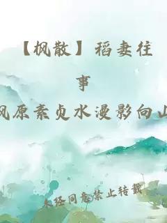 【枫散】稻妻往事