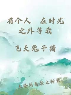 有个人 在时光之外等我