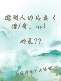 透明人的共妻（猎/奇，np）