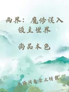 两界：魔修误入领主世界