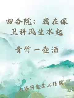四合院：我在保卫科风生水起