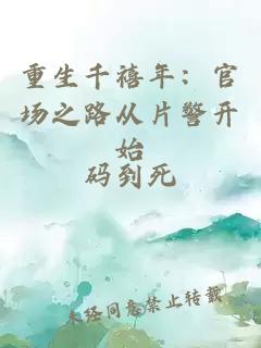 重生千禧年：官场之路从片警开始