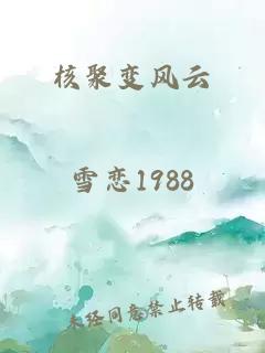 核聚变风云